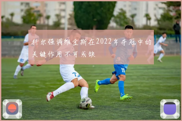 科尔强调维金斯在2022年夺冠中的关键作用不可或缺
